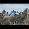 IMG_6485
3/21/2007 1:30:32 PM